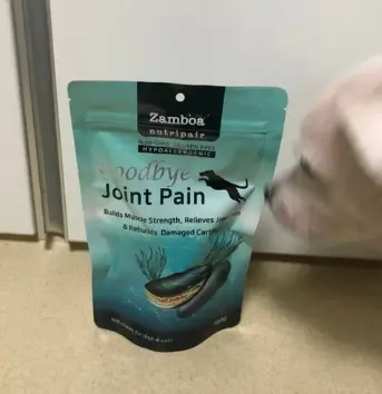 강아지 슬개골 탈구 증상, 수술 비용과 예방까지 한 번에 정리