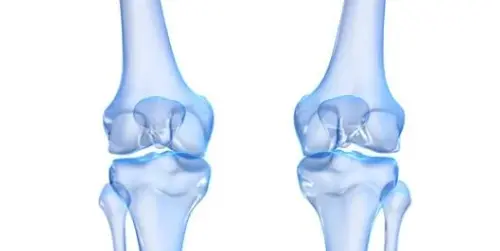 강아지 슬개골 탈구 증상, 수술 비용과 예방까지 한 번에 정리