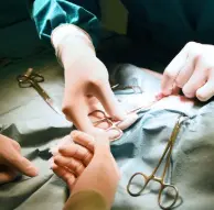 강아지 중성화 수술 후 관리법 [금식, 산책, 목욕]