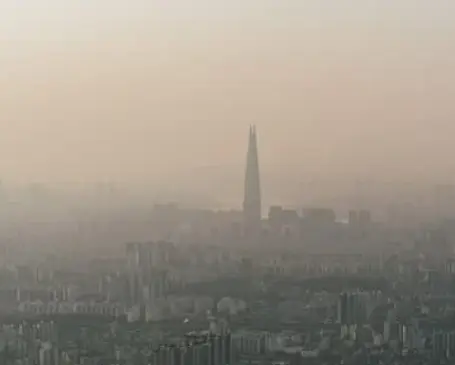 강아지 쌕쌕 켁켁거림, 혹시 천식? 보호자가 꼭 알아야 할 모든 것