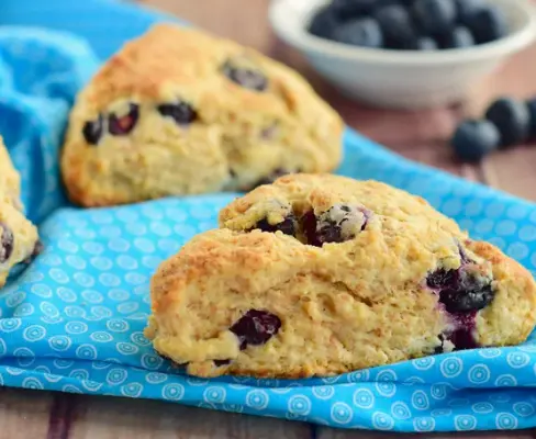 강아지 블루베리 효능 부작용 급여 주의사항 총정리