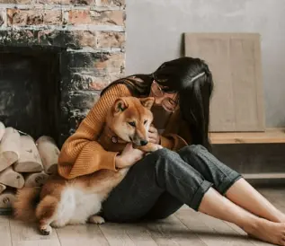 강아지 림프종 증상 몸에 혹이 생기는 원인, 항암치료 후기