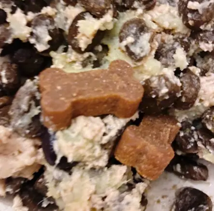 강아지 고관절 이형성증 원인, 예방법 수술 전 확인