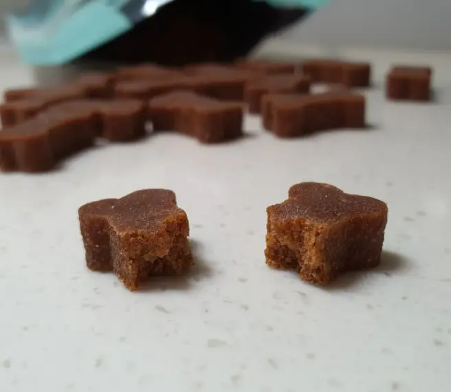 강아지 떠는 이유 6가지, 단순히 추워서가 아닙니다