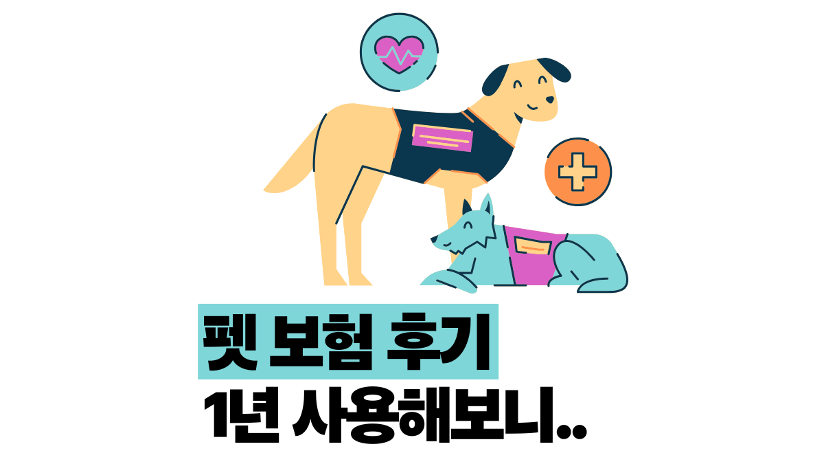 1년 써본 펫 보험 후기 청구부터 면책기간 함정까지
