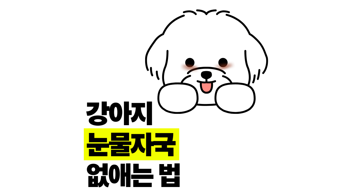 강아지 눈물자국 없애는 법 10년차 반려인의 비법