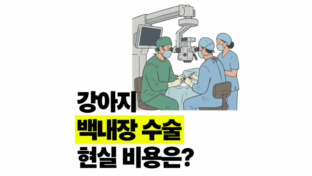 강아지 백내장 수술 비용 가격 400만원? 현실은..