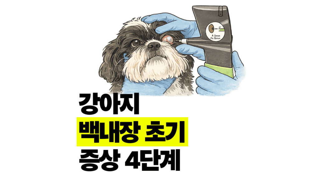 강아지 백내장 초기 증상 4단계 수술 비용 예방법