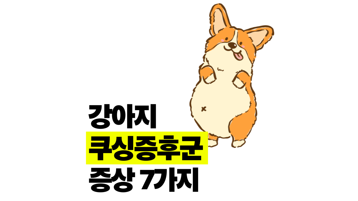 강아지 쿠싱증후군 초기 증상 7가지