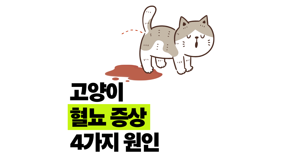 고양이 피오줌, 방광염 아닌 방광결석? 원인 4가지