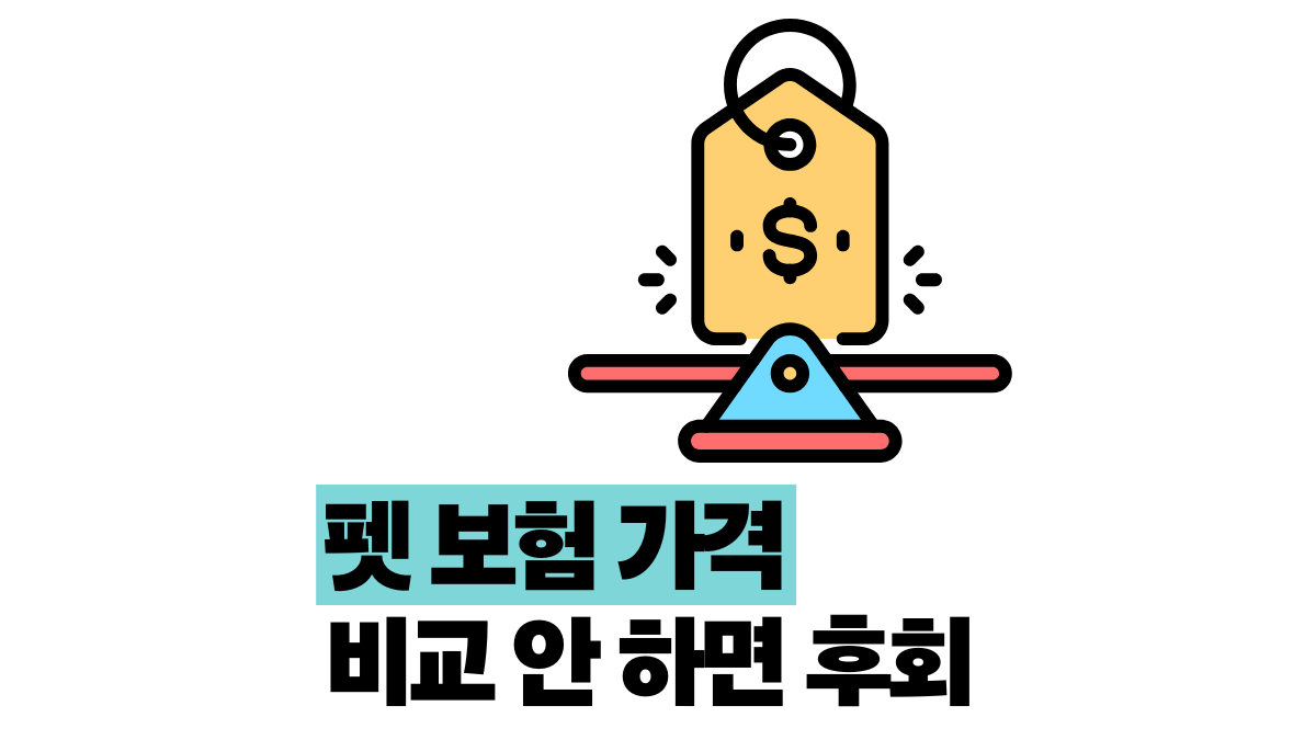 펫 보험 가격 비교 월 3만원짜리 가입 후회 썰