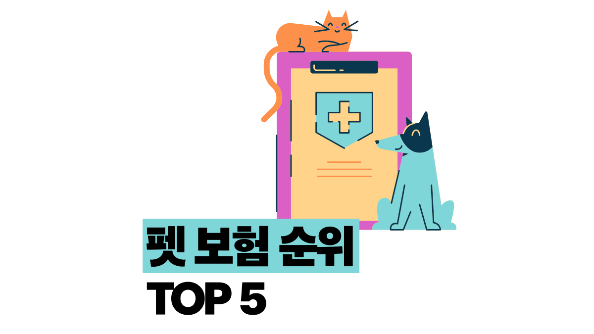 펫 보험 순위 3개월 고민 끝에 결정한 TOP 5