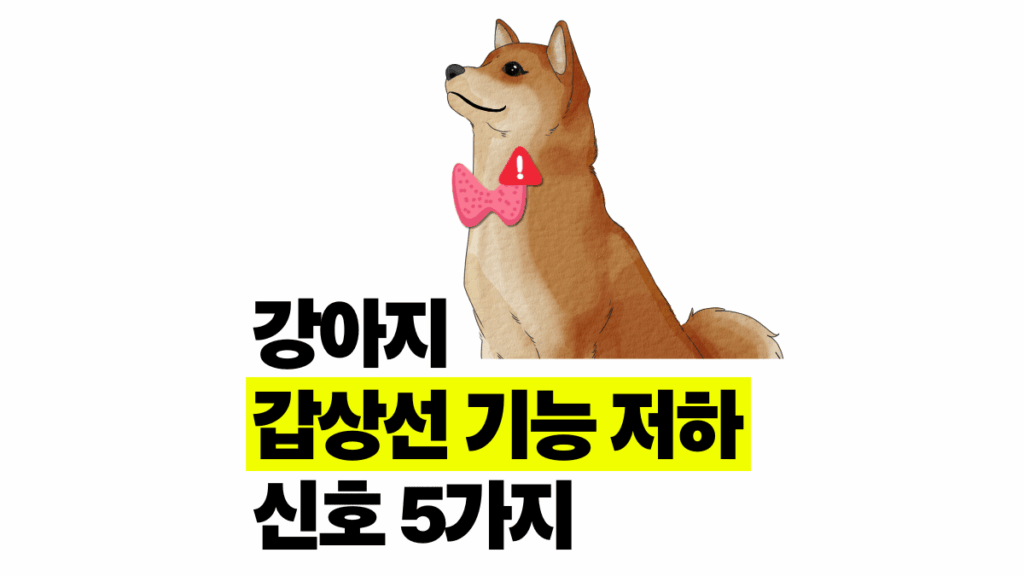 강아지 갑상선 기능저하증 5가지 의심 신호