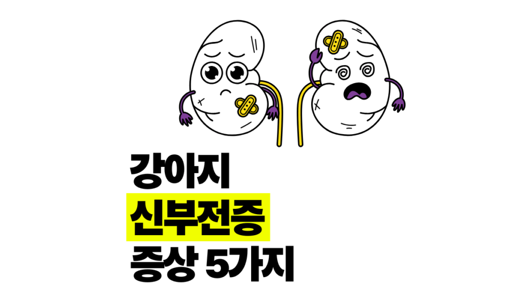 강아지 신부전증 증상 5가지 치료 식단