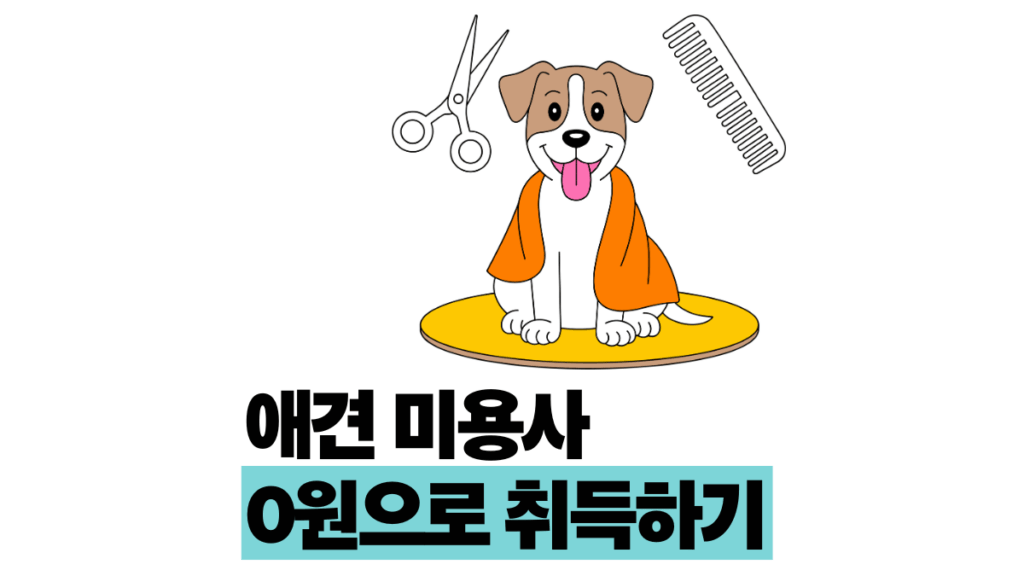 애견 미용사 자격증 0원으로 취득 방법 KKC vs KKF